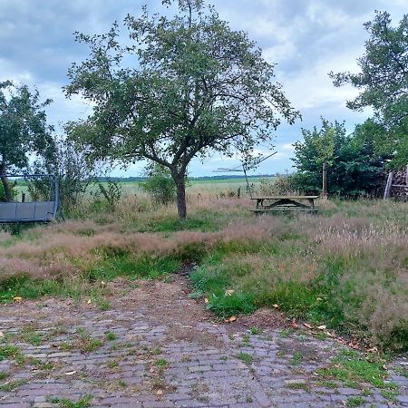 Logeerruimte In Gerenoveerde Boerderij In Wachtum Daire Dış mekan fotoğraf