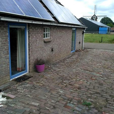 Logeerruimte In Gerenoveerde Boerderij In Wachtum Daire Dış mekan fotoğraf