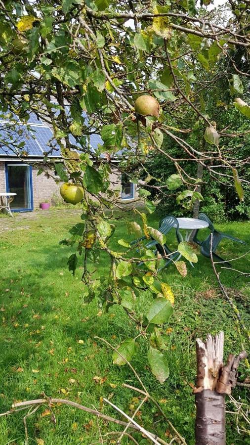 Logeerruimte In Gerenoveerde Boerderij In Wachtum Daire Dış mekan fotoğraf