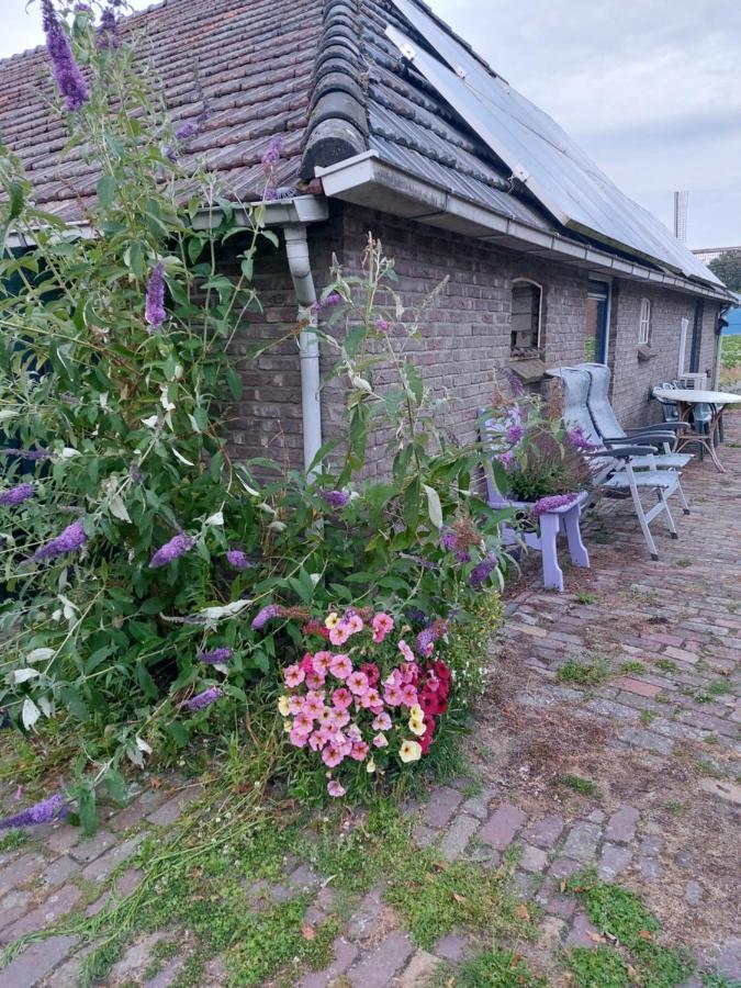 Logeerruimte In Gerenoveerde Boerderij In Wachtum Daire Dış mekan fotoğraf