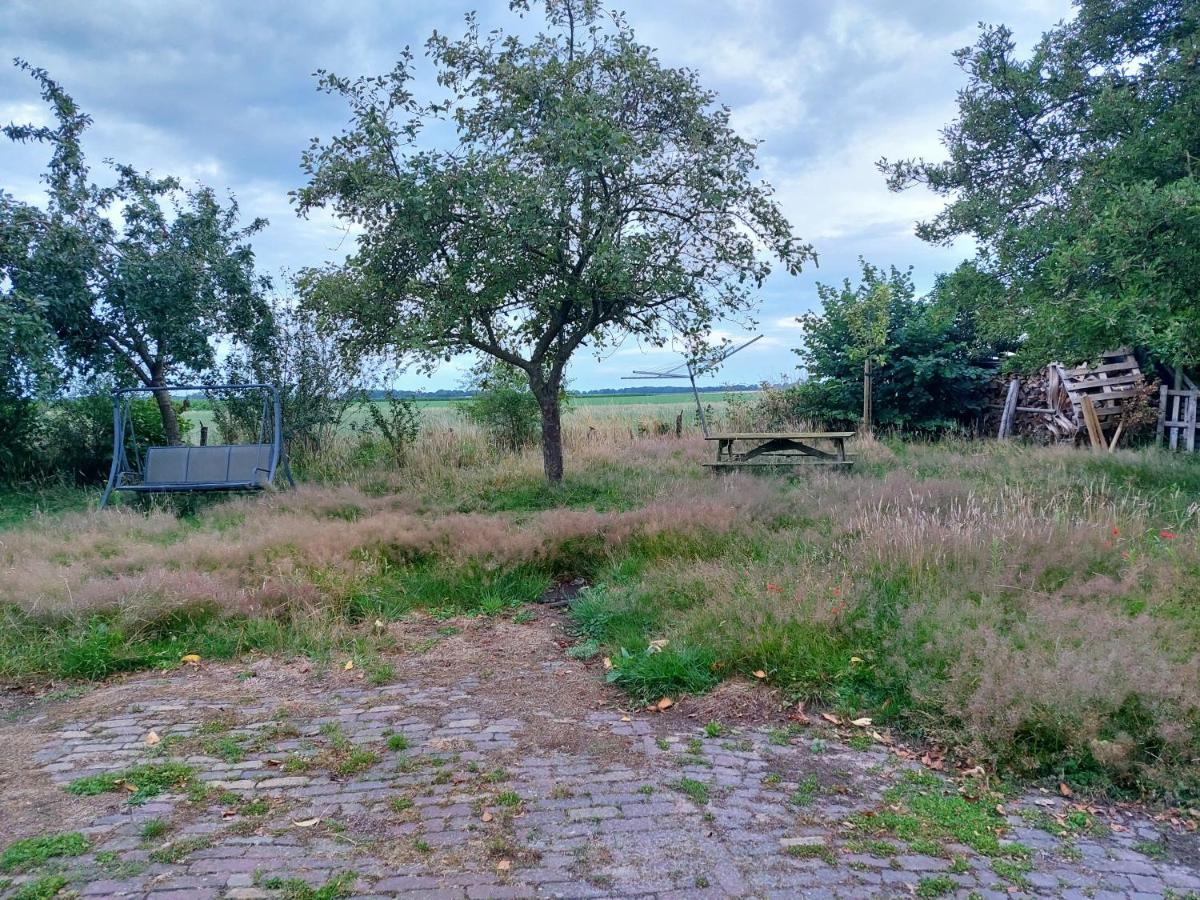 Logeerruimte In Gerenoveerde Boerderij In Wachtum Daire Dış mekan fotoğraf