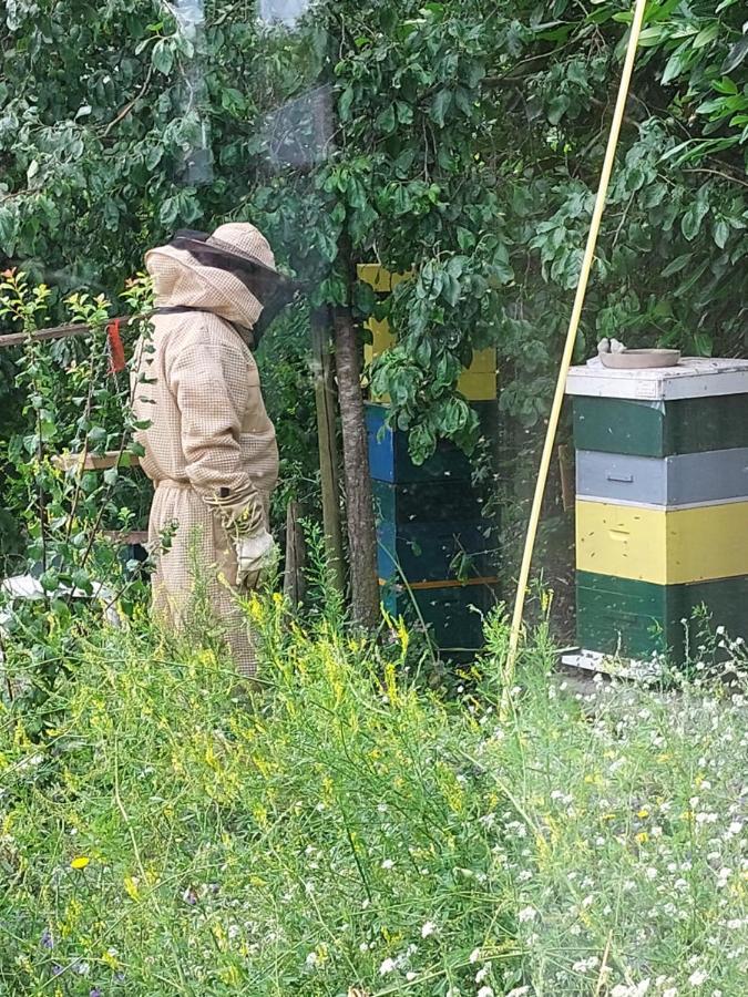 Logeerruimte In Gerenoveerde Boerderij In Wachtum Daire Dış mekan fotoğraf