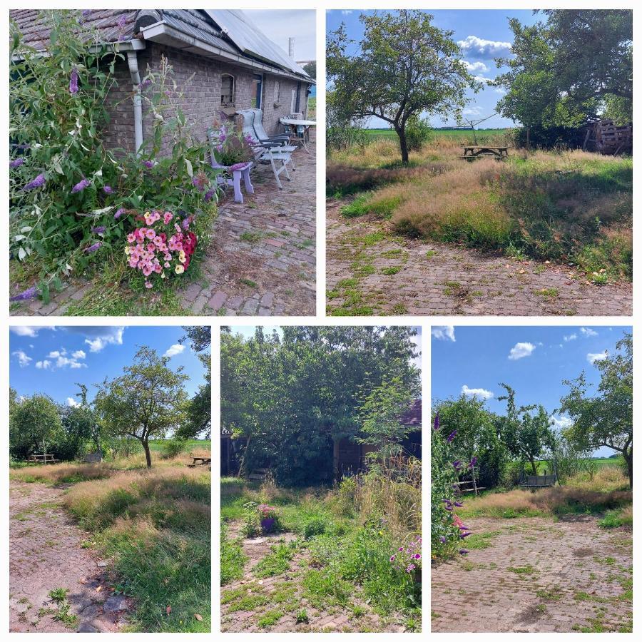 Logeerruimte In Gerenoveerde Boerderij In Wachtum Daire Dış mekan fotoğraf