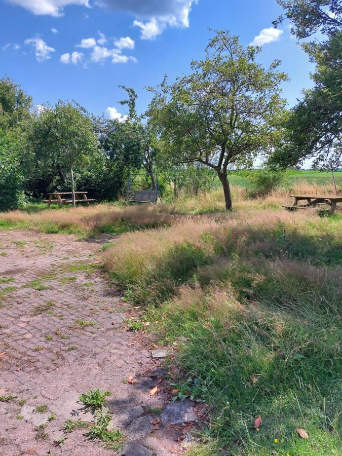 Logeerruimte In Gerenoveerde Boerderij In Wachtum Daire Dış mekan fotoğraf