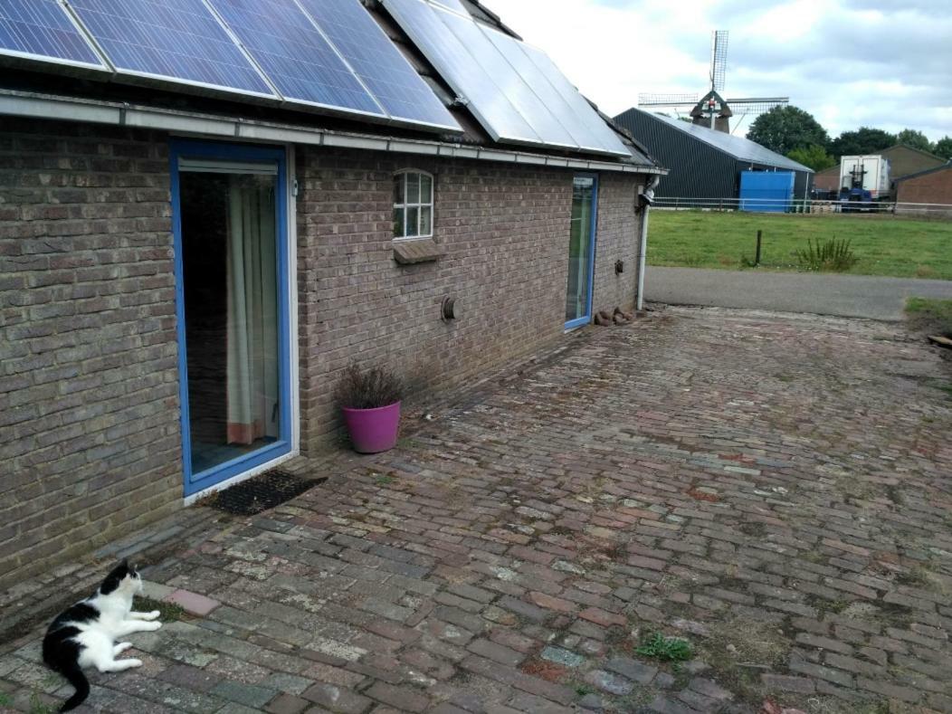 Logeerruimte In Gerenoveerde Boerderij In Wachtum Daire Dış mekan fotoğraf